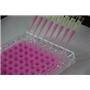 96 Well Cell Culture Plate