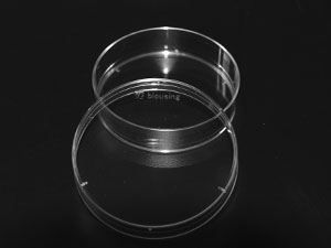 60mm Cell Culture Dish